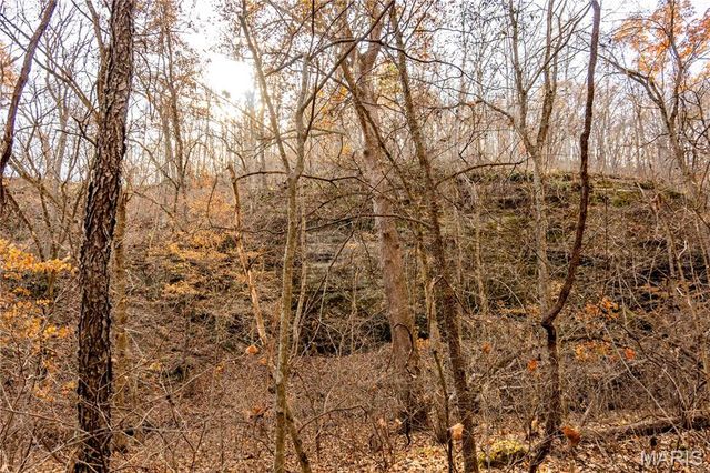 00 Charette Creek Road, Warrenton, MO 63383