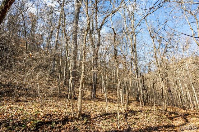 00 Charette Creek Road, Warrenton, MO 63383