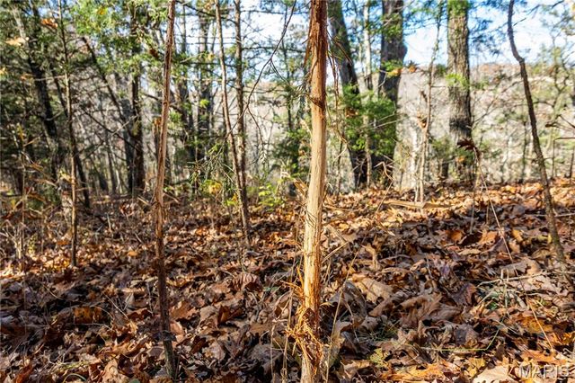 00 Charette Creek Road, Warrenton, MO 63383