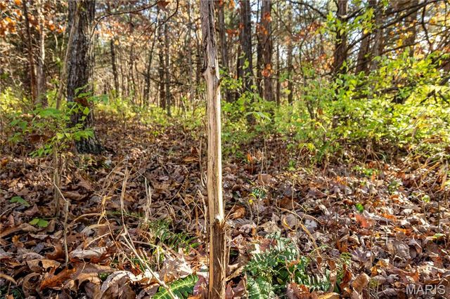 00 Charette Creek Road, Warrenton, MO 63383