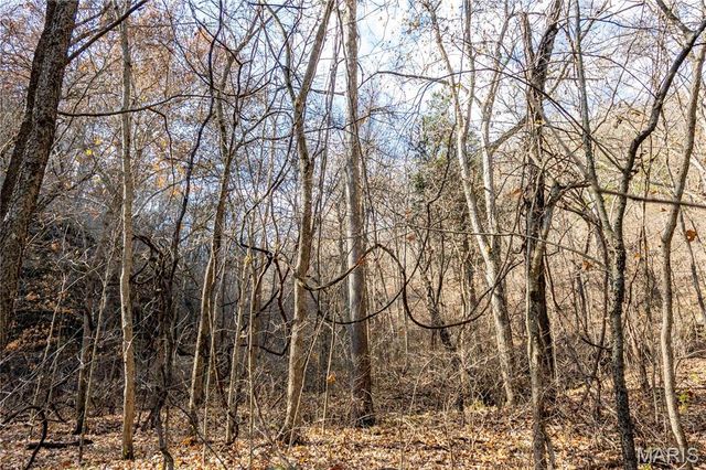 00 Charette Creek Road, Warrenton, MO 63383