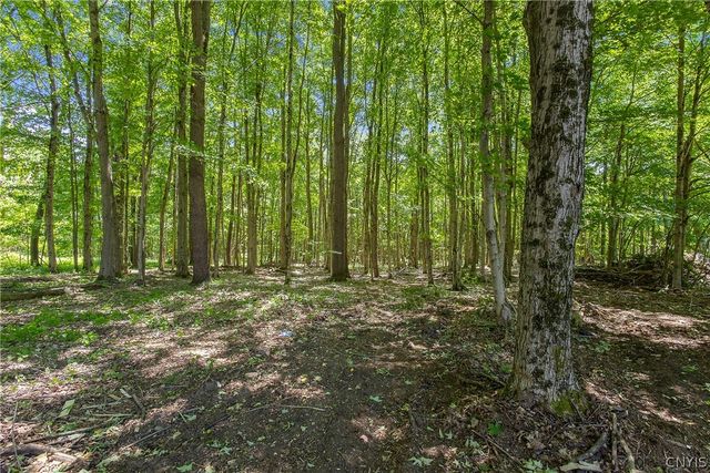 131 Bardeen Road, Hastings, NY 13076