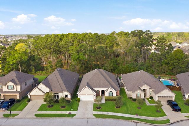 15615 Tindary Meadow Court, Houston, TX 77044