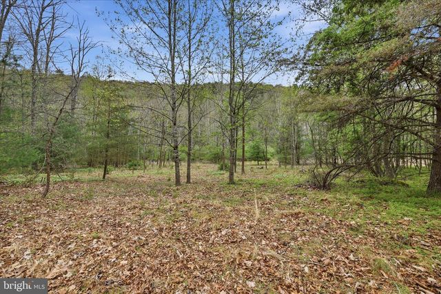 783 RITTERS VALLEY DR, Capon Bridge, WV 26711
