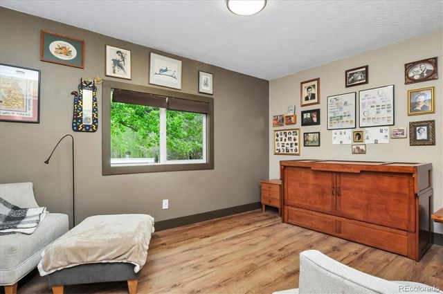 15171 County Road 306, Buena Vista, CO 81211