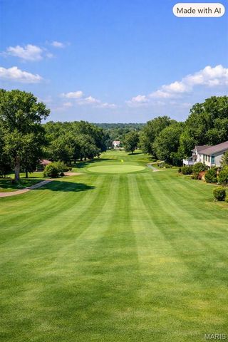 11 Silver Leaf Court, Lake St Louis, MO 63367