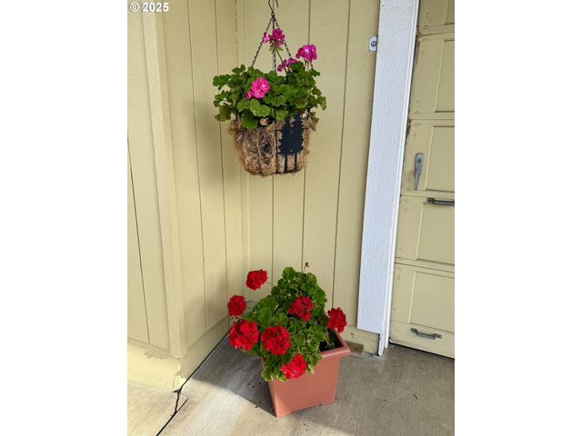 159 Ne LOMBARDY Dr, Roseburg, OR 97470