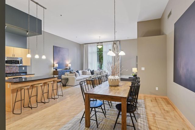 215 10th Avenue S 114, Minneapolis, MN 55415