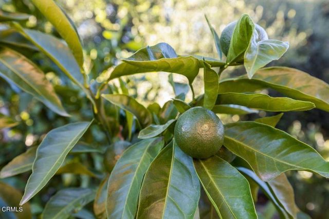 10 Taormina Lane, Ojai, CA 93023