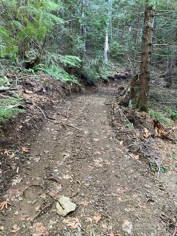 0 N Dow Ridge, Hoodsport, WA 98548
