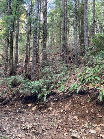 0 N Dow Ridge, Hoodsport, WA 98548