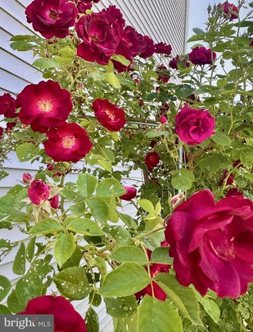 510 CILANTRO CT, Middletown, DE 19709