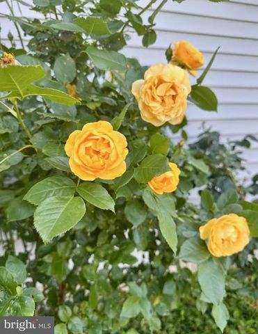 510 CILANTRO CT, Middletown, DE 19709