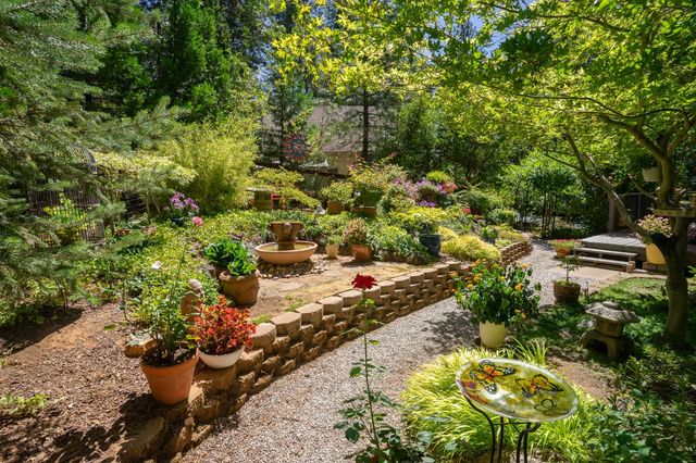 26035 Meadow Dr, Pioneer, CA 95666