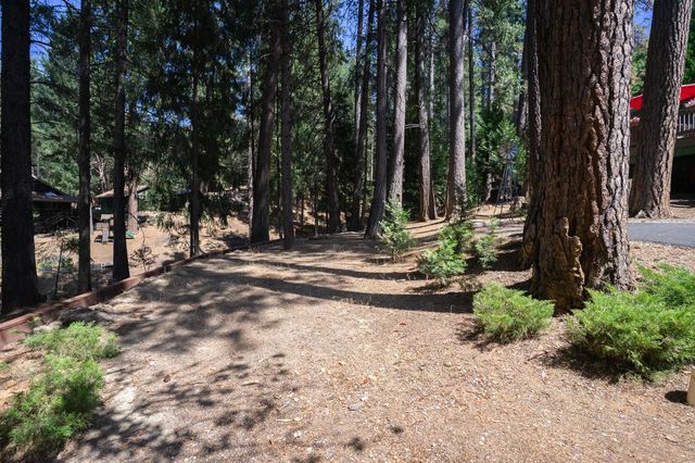 26035 Meadow Dr, Pioneer, CA 95666