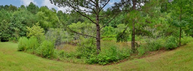 25 Elizabeth Drive, Senoia, GA 30276