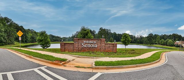 25 Elizabeth Drive, Senoia, GA 30276