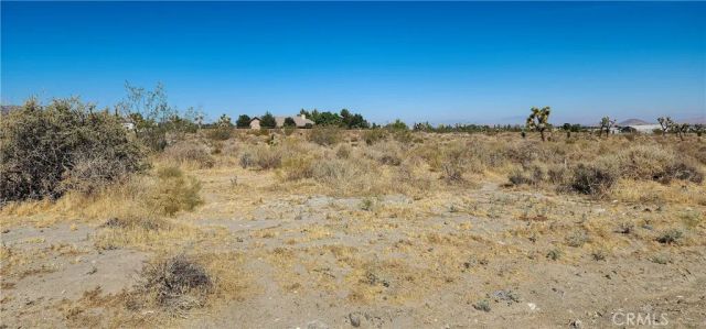 1 Evergreen, Pinon Hills, CA 92372