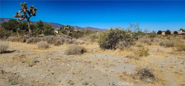 1 Evergreen, Pinon Hills, CA 92372