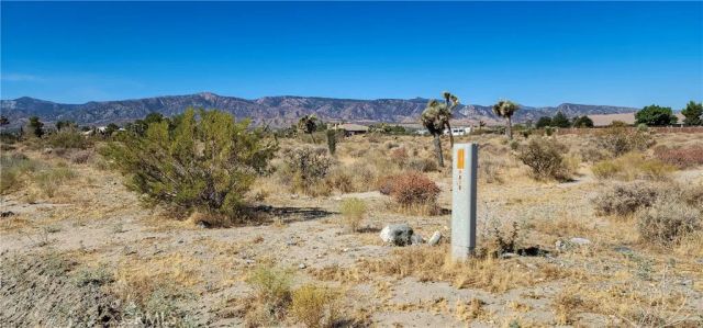 1 Evergreen, Pinon Hills, CA 92372