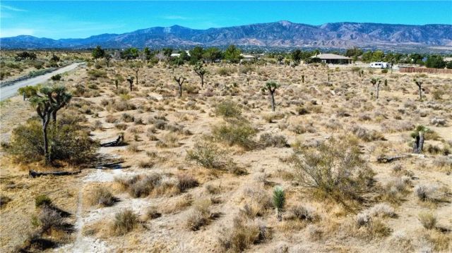 1 Evergreen, Pinon Hills, CA 92372