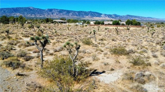 1 Evergreen, Pinon Hills, CA 92372