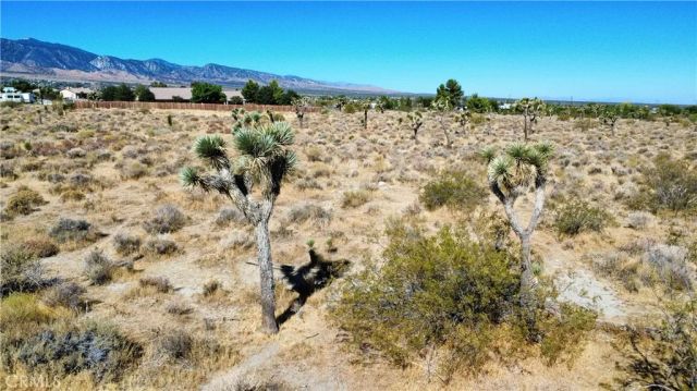 1 Evergreen, Pinon Hills, CA 92372