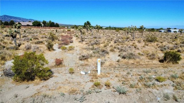 1 Evergreen, Pinon Hills, CA 92372