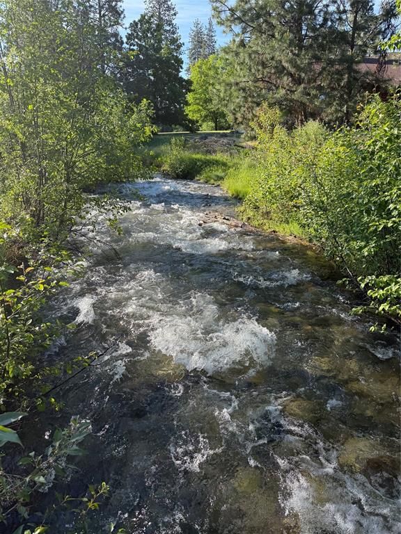 5600 Spring Mountain Road, Florence, MT 59833 photo 8