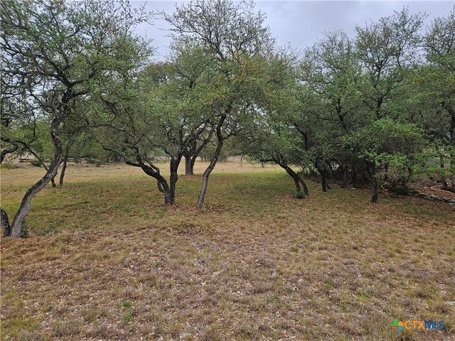 263 Paradise Hills, New Braunfels, TX 78132