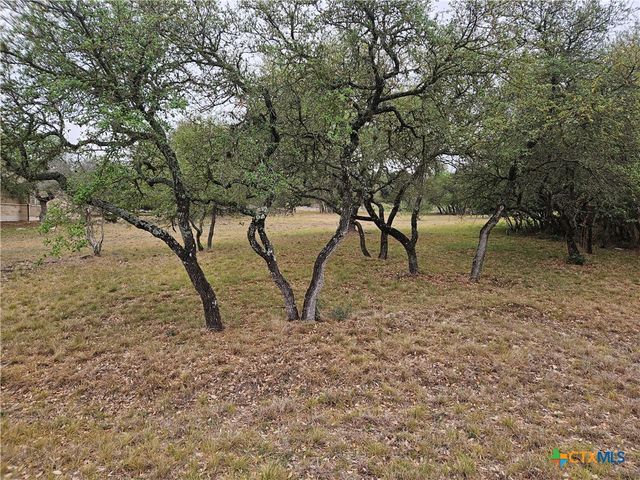 263 Paradise Hills, New Braunfels, TX 78132
