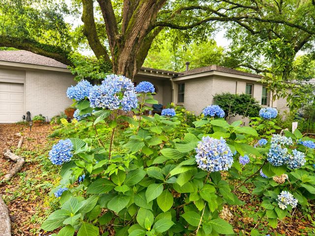 971 Cliffwood Drive, Mount Pleasant, SC 29464