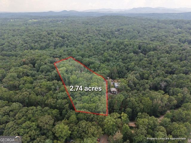 69 Gold Lake Drive, Cleveland, GA 30528