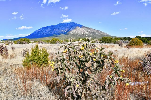 8 Entranosa Court, Edgewood, NM 87015