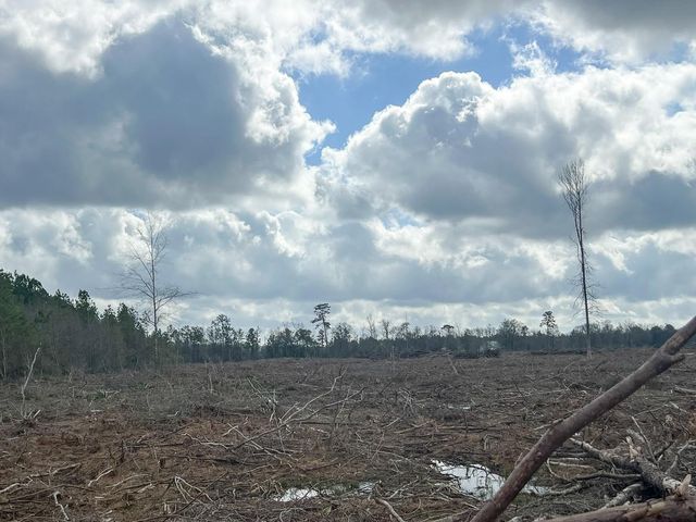 4 Fm 421, Lumberton, TX 77625