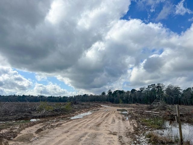 4 Fm 421, Lumberton, TX 77625