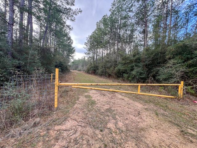 4 Fm 421, Lumberton, TX 77625