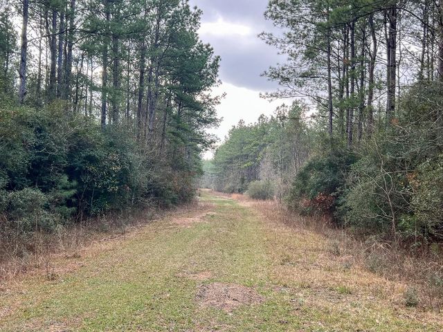 4 Fm 421, Lumberton, TX 77625