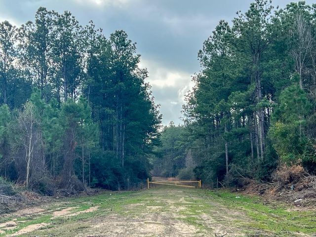 4 Fm 421, Lumberton, TX 77625