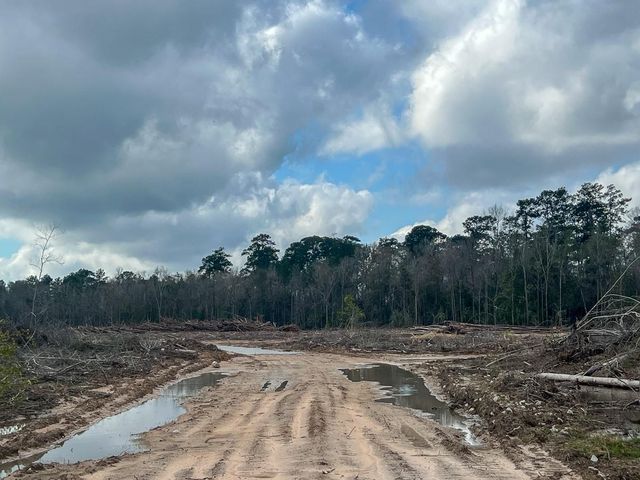 4 Fm 421, Lumberton, TX 77625