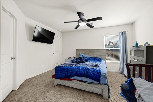 22711 Steel Blue Jaybird Drive, Hockley, TX 77447