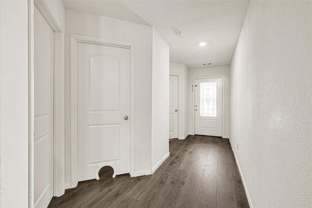 22711 Steel Blue Jaybird Drive, Hockley, TX 77447