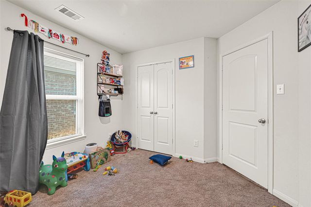 22711 Steel Blue Jaybird Drive, Hockley, TX 77447