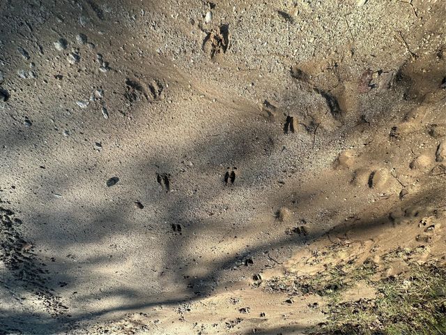 8032 County Road 314, Buffalo, TX 75831