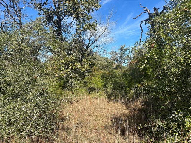 8032 County Road 314, Buffalo, TX 75831