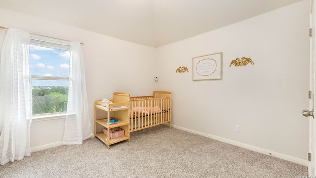 1318 Arcadian Rose, San Antonio, TX 78245