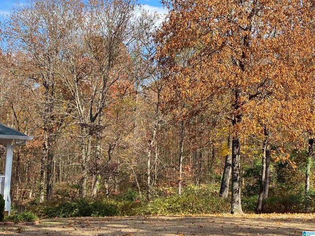 5201 DREW DRIVE, Sylvan Springs, AL 35118