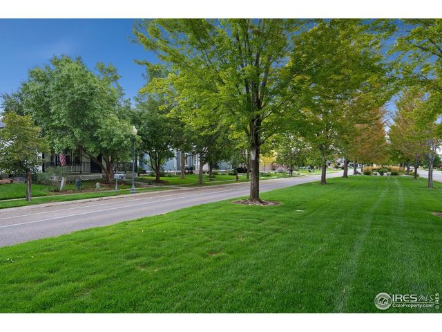 1116 Grand Ave, Windsor, CO 80550