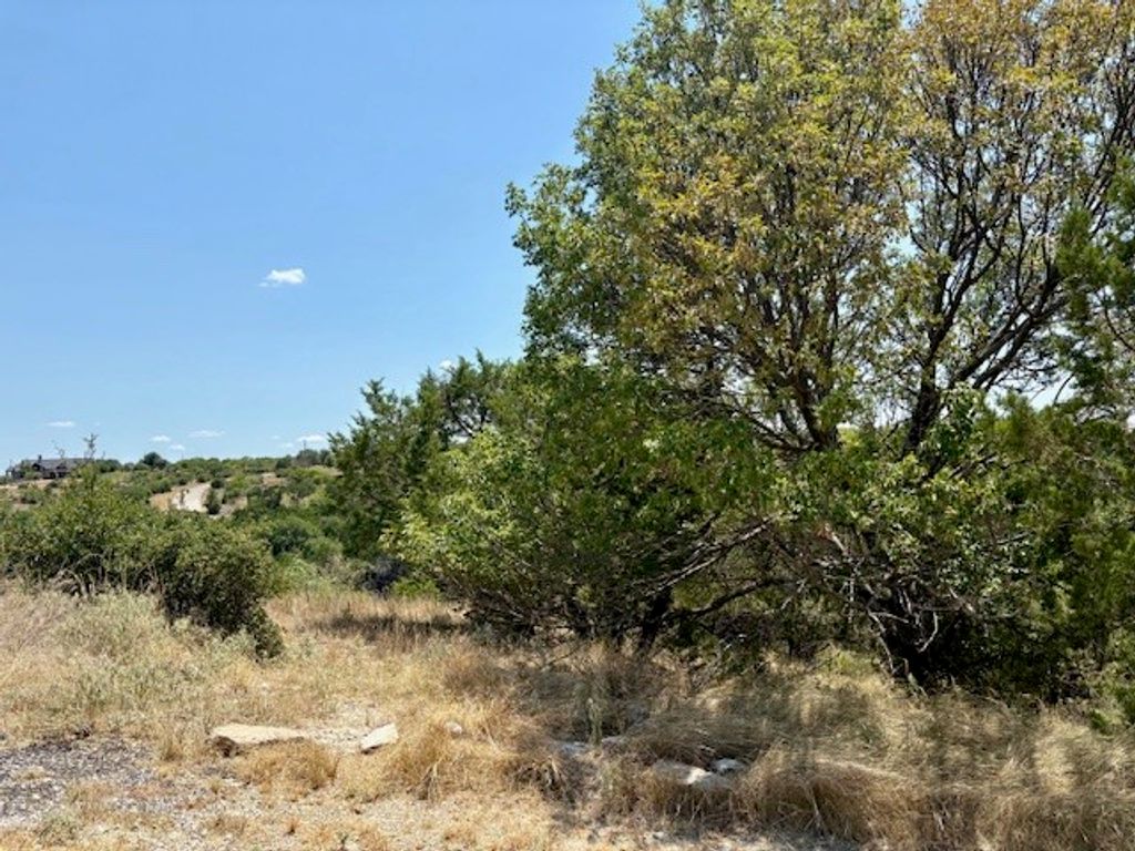 Lot 246 Broadmoor Court, Possum Kingdom Lake, TX 76449
