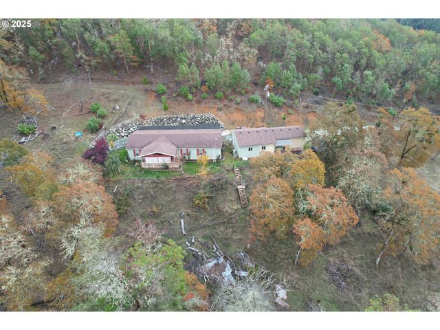 1320 SHOESTRING Rd, Riddle, OR 97469